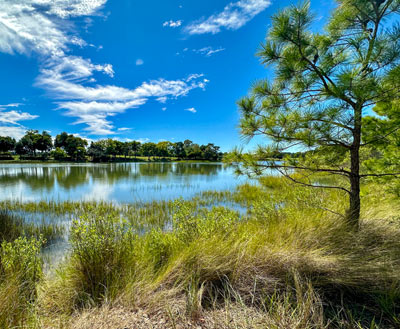 Chesapeake Watershed