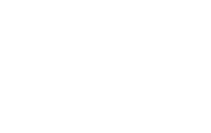 Towne Bank Logo